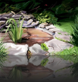 OGRODY - PROJEKT, REALIZACJA, PIELĘGNACJA